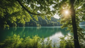 Die schönsten Badeseen in Hessen: Sommergenuss pur